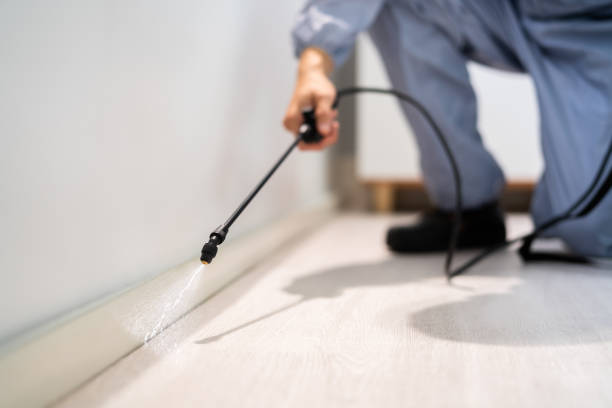 Rodent Entry Point Assessment in Atco