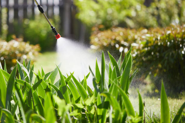Tamper-Resistant Bait Stations for Rodents in Atco