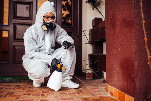 Attic and Crawl Space Rodent Treatment in Atco