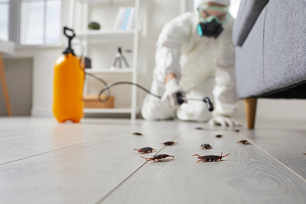 Commercial Rodent Management in Atco